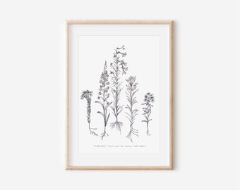 Alpine Wildflowers Print, Colorado Wild Collection, 8x10, 13x19,  Pen and Ink Drawing, Black and White, Hand drawn Decor, Floral Wall Art