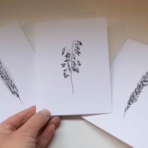 Set di biglietti di auguri "Grains", 6 biglietti vuoti e buste, disegno a penna e inchiostro, arte in bianco e nero, illustrazione della natura disegnata a mano, set di cancelleria
