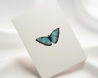 Blue Morpho Butterfly Notecard Set: Hand-Drawn Pen & Ink Art