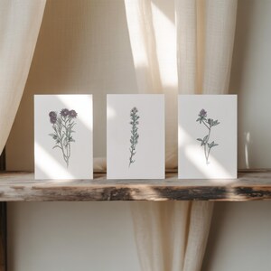 Kaartenset met weidebloemen, 6 blanco kaarten en enveloppen