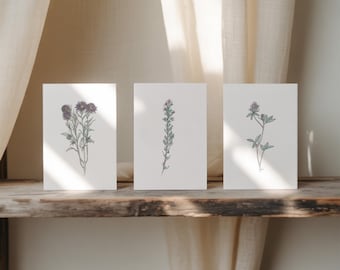 Pasture Flowers Notecard Set, 6 Blank Cards and Envelopes