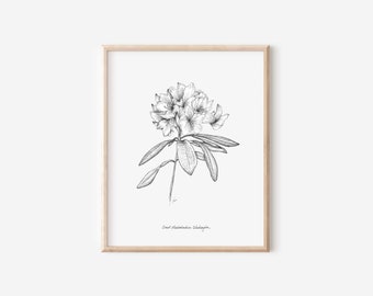 Washington Coast Rhododendron Print, Pen and Ink Drawing, State Flower Collection