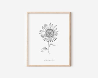 Kansas Wild Native Sunflower Print, State Flower Collection, 5x7, 8x10, Pen and Ink Drawing, Black and White, Hand Drawn Floral Wall Artwork