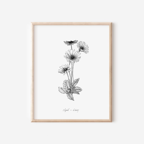 April Daisy Print, Birth Month Flower Collection, 5x7, 8x10, Pen and Ink Drawing, Black and White, Hand Drawn Illustration, Floral Wall Art