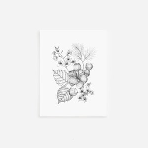 Tarjetas de avellana, tarjetas y sobres en blanco, dibujo a pluma y tinta, ilustraciones en blanco y negro, ilustración botánica dibujada a mano, juego de papelería