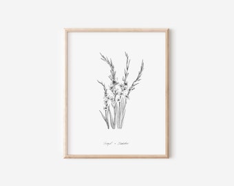 August Gladiolus Print, Birth Month Flower Collection, 5x7, 8x10, Pen and Ink Drawing, Black and White, Hand Drawn Illustration, Floral Art