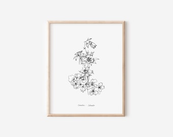 Colorado Columbine Print, State Flower Collection, 5x7, 8x10, Pen and Ink Drawing, Black and White, Hand Drawn Floral Illustration, Wall Art