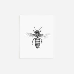 Tarjetas de abejas, tarjetas y sobres en blanco, dibujos a pluma y tinta, arte en blanco y negro, papelería con ilustraciones dibujadas a mano, tarjetas de regalo.