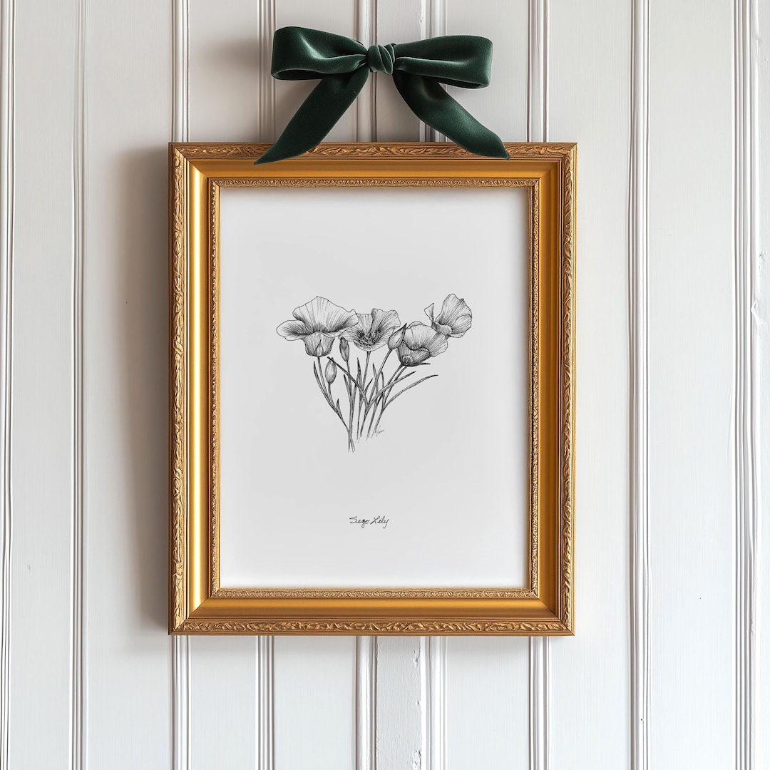 Sego Lily Print Utah State Flower, Archival Ink Drawing Etsy