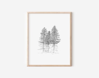 Noble Firs Print, 8x10, Pen and Ink Drawing