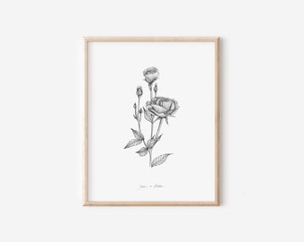June Rose Print, 5x7, 8x10, Birth Month Flower Collection, Pen and Ink Drawing, Black and White, Hand drawn Decoration, Floral Wall Artwork
