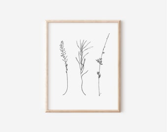 Sprigs Print, Wild Grass Pen and Ink Drawing