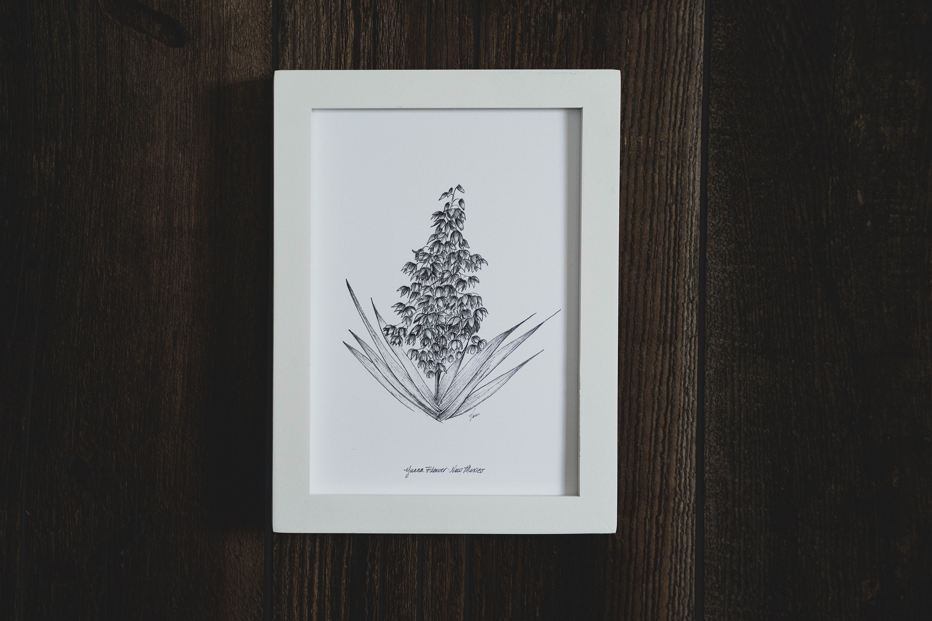 New Mexico Yucca Flower Print State Flower Series 5x7 Etsy