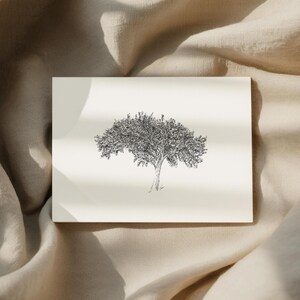 Singletree Notecards, Blank Cards and Envelopes