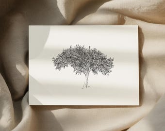 Tarjetas de notas, tarjetas en blanco y sobres de Singletree