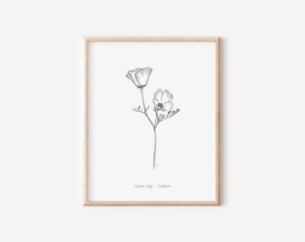 California Poppy Print, State Flower Collection, 5x7, 8x10, Pen and Ink Drawing, Black and White Illustration, Hand Drawn Floral Wall Art