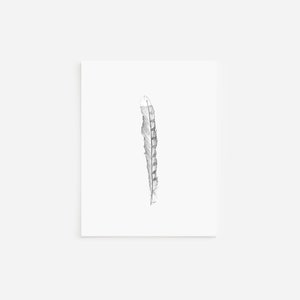 Juego de tarjetas con plumas, tarjetas y sobres en blanco, dibujo a pluma y tinta, arte en blanco y negro, ilustración de la naturaleza dibujada a mano, juego de papelería