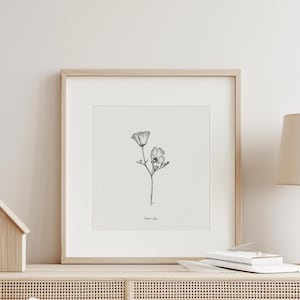 California Poppy Print, State Flower Collection, 5x7, 8x10, Pen and Ink Drawing, Black and White Illustration, Hand Drawn Floral Wall Art