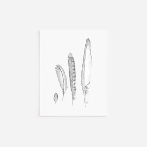 4羽の羽のノートカード、空白のノートカードと封筒、ペンとインクの絵、白黒アート、手描きのイラスト、文房具セット