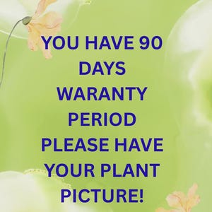 May include: A green background with the text "YOU HAVE 90 DAYS WARRANTY PERIOD PLEASE HAVE YOUR PLANT PICTURE!" in blue. Two orange flowers are in the corners.