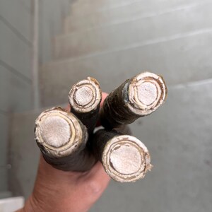 May include: Close-up of four dark brown, cylindrical objects with light beige, circular centres. The objects are held in a hand, with a grey background of stairs visible.