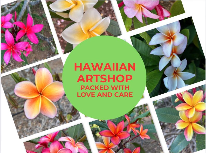 May include: A collage of colourful plumeria flowers in shades of pink, yellow, and white, arranged in a grid. The flowers have a star-like shape with multiple petals. A green circle in the centre displays the text "HAWAIIAN ARTSHOP" and "PACKED WITH LOVE AND CARE".