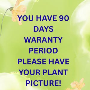 May include: A green background with the text "YOU HAVE 90 DAYS WARANTY PERIOD PLEASE HAVE YOUR PLANT PICTURE!" in blue. Two orange flowers are in the image.