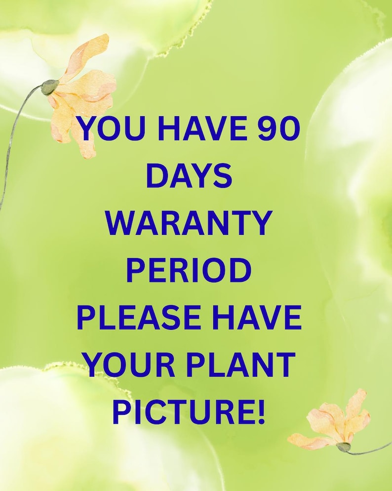 May include: A green background with the text "YOU HAVE 90 DAYS WARANTY PERIOD PLEASE HAVE YOUR PLANT PICTURE!" in blue. Two orange flowers are in the image.