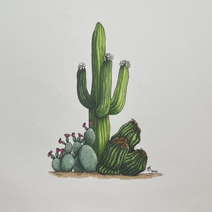 Può includere: Un'illustrazione disegnata a mano di un paesaggio desertico con un alto cactus saguaro verde con fiori bianchi e piccoli cactus di fico d'India verdi con fiori rosa.