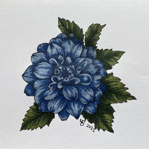 Blauwe Anjer