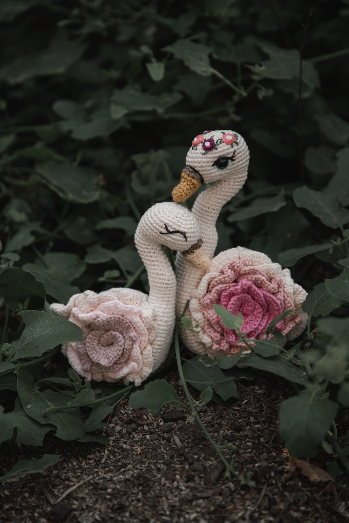Mère cygne et son bébé