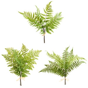 20" Soft Touch Fern Bundle of 3