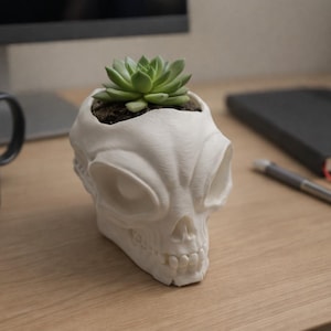 May include: A white, skull-shaped planter with a succulent plant. The planter has large eye sockets and a detailed jawline. The succulent has green leaves and sits in dark soil. The planter is on a wooden desk.