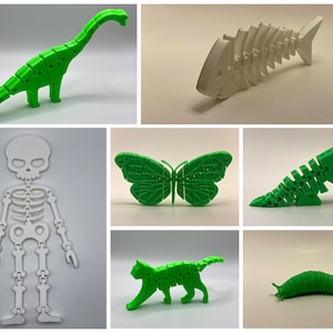 May include: A collection of 3D printed articulated skeletons of various animals, including a dinosaur, a fish, a butterfly, a cat, a slug, and a human skeleton. The skeletons are made of white and green plastic.