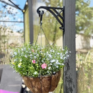Pergola Hooks for Hanging Plants - Etsy