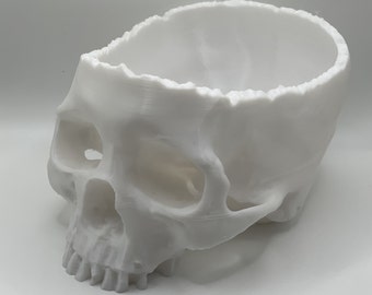 Realistic Skull Planter/Bowl