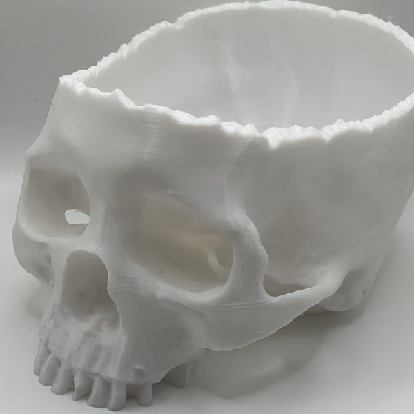 Realistic Skull Planter/Bowl