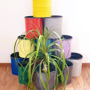 Upcycling BLUMENTOPF - ich war mal eine Konservendose - Farbe nach Wahl *Blumenübertopf minimalistisch mit Pflanztopf innen*