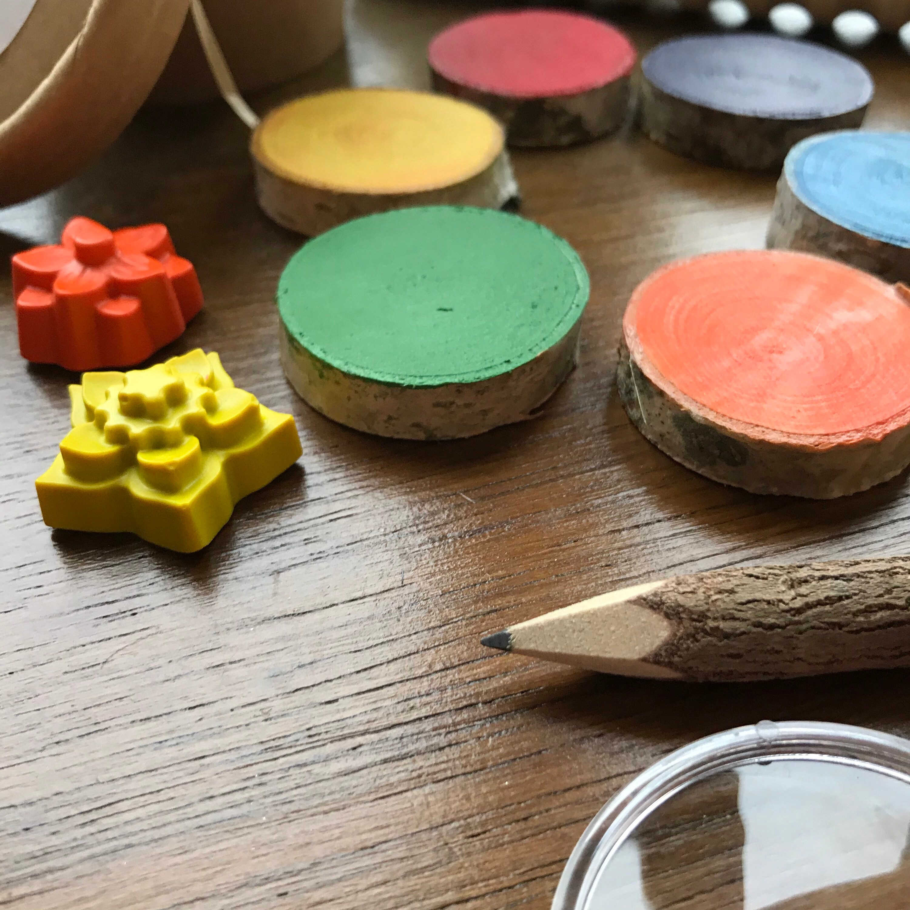 Nature Explorer Tool Kit Etsy