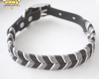 Wasserdichtes gewebtes Hundehalsband - Stilvolles geflochtenes Haustierhalsband mit goldenen Metallteilen, langlebig und verstellbar für Hunde