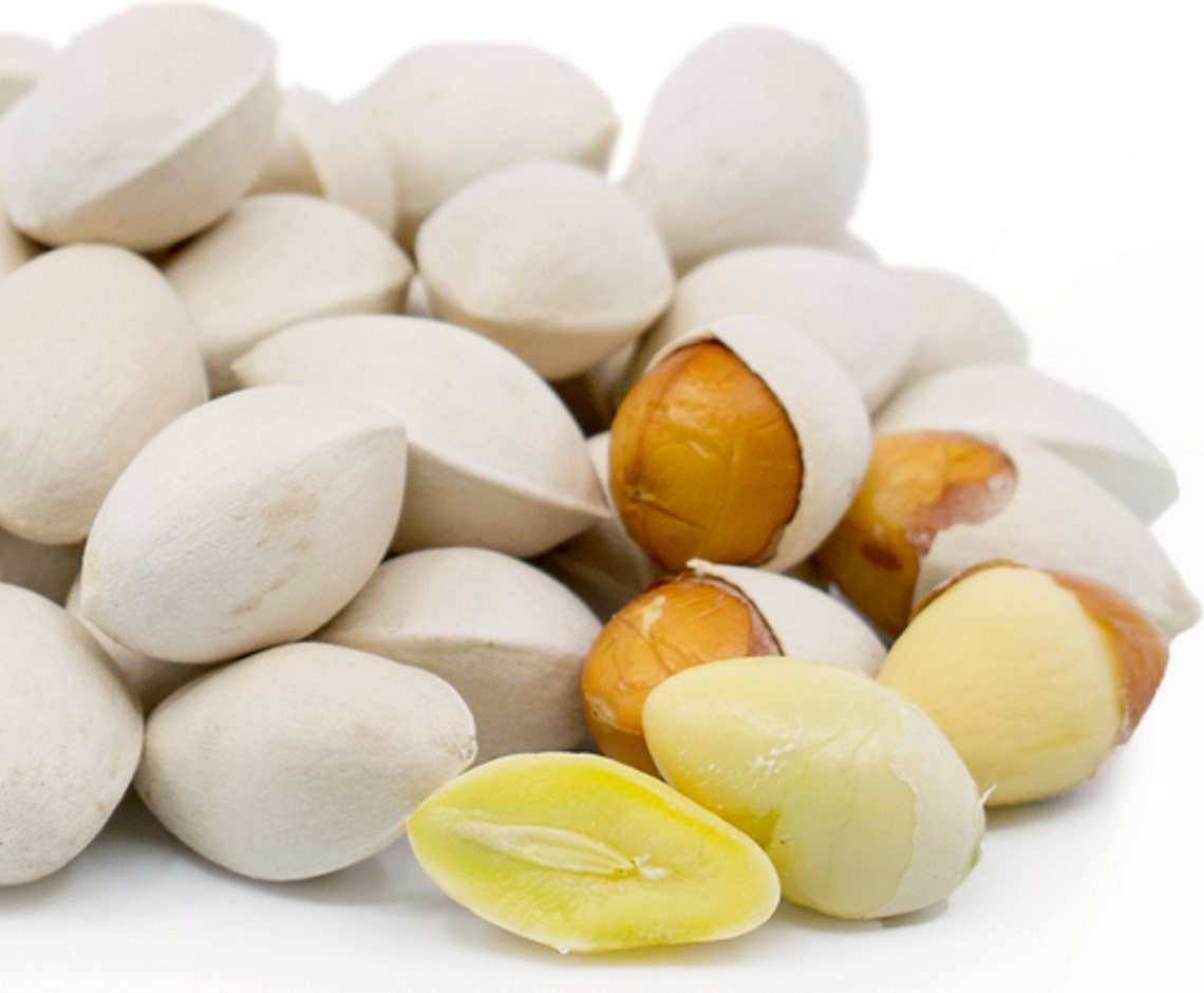 Ginkgo Nut Peeled Ginkgo Biloba Nut Peeled 1 Lb. Etsy