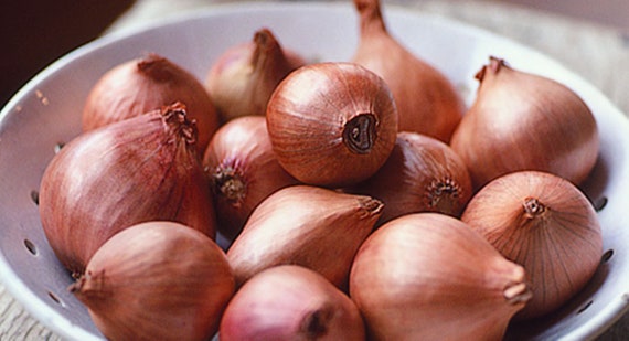 Fresh Shallots 1 lb Roasted Shallots Shallot Onion Sweet 