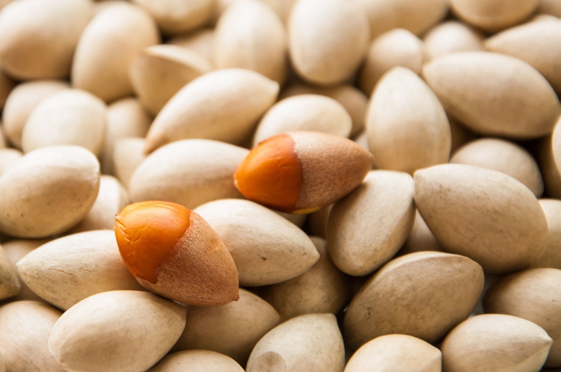 Ginkgo Nut Peeled Ginkgo Biloba Nut Peeled 1 Lb. Etsy