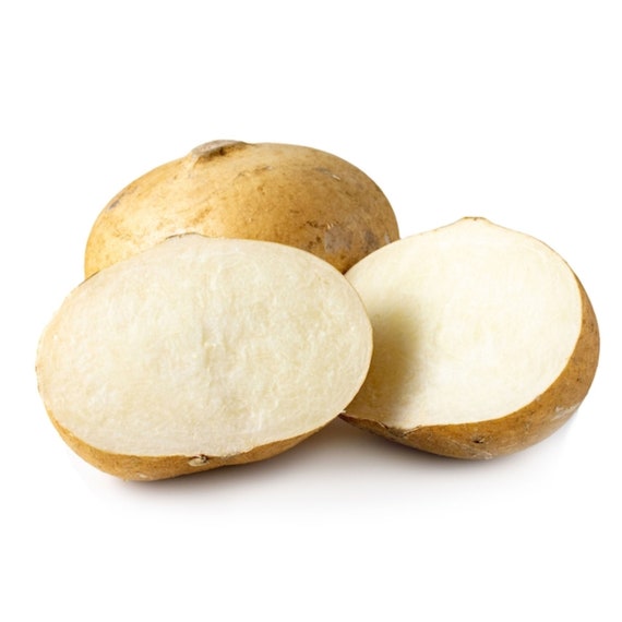 Fresh Jicama 4 Lbs Edible Tuber Mexican Turnip Jicama Etsy