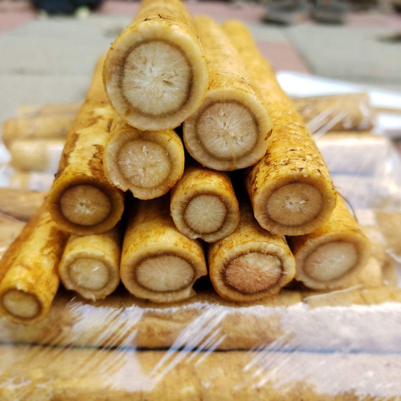 Fresh Burdock Root Gobo Root Bardana Japanese Burdock Fast Etsy