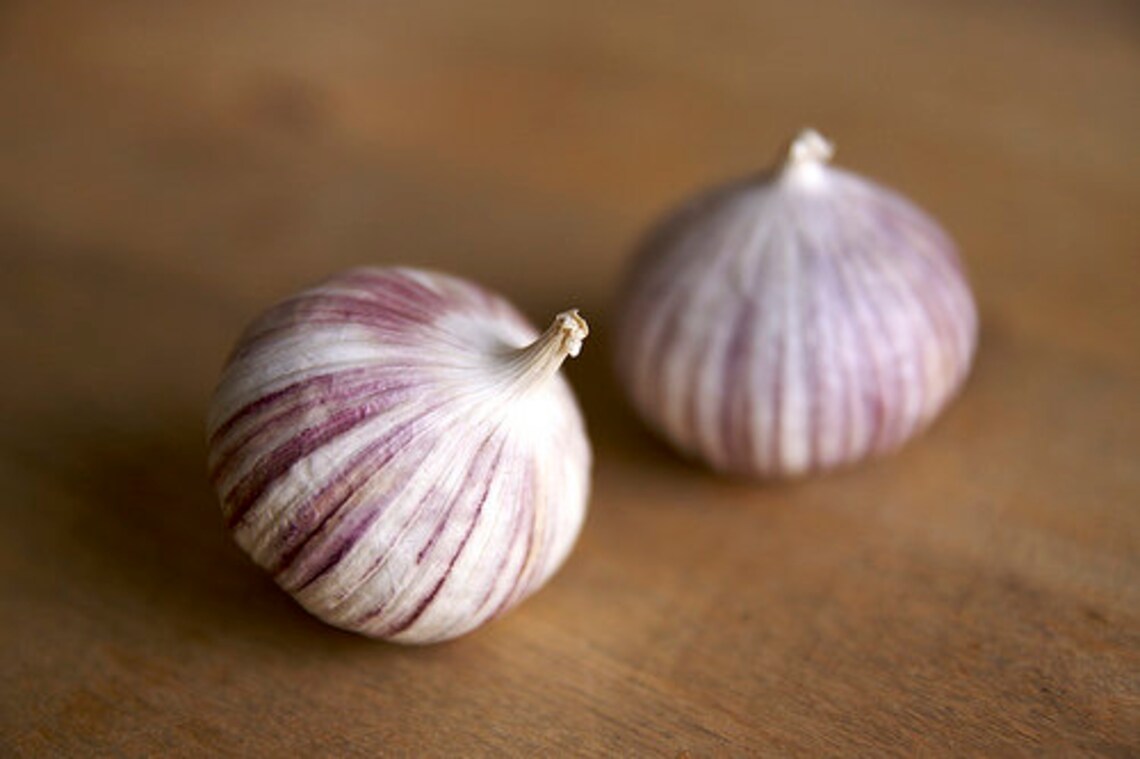 Solo Garlic Bulbs Fresh Solo Garlic Bulbs Solo Garlic 10 Etsy