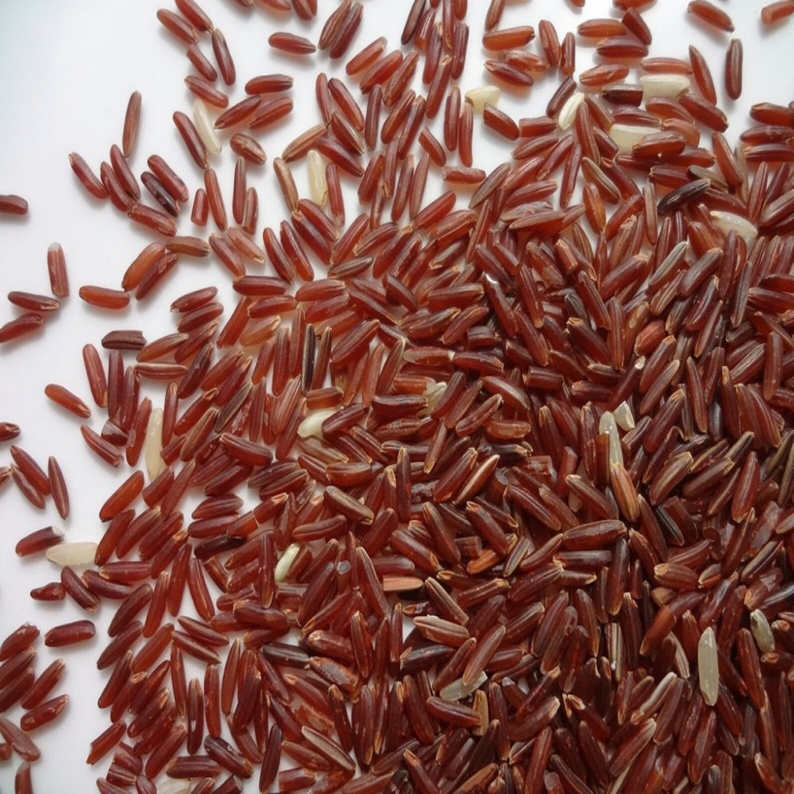Red Cargo Rice Indian Red Rice Weedy Rice Red Rice 5 Lbs | Etsy