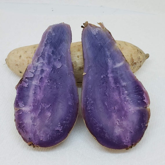 Fresh Purple Flesh Ubi Sweet Yam Potatoes Tubers 2 Pound FREE PRIORITY SHIPPING