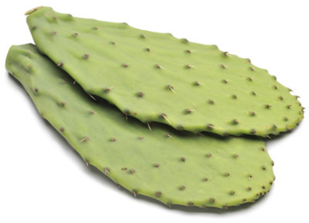 Cactus Leaf, Fresh Cactus Leaf, Cactus Leaves, Bulk Cactus Leaves 4 Lbs