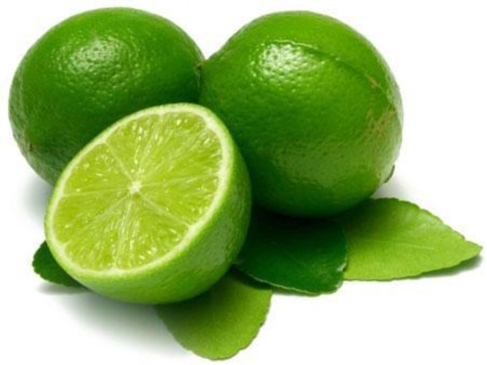 Fresh Key Lime 2 lbs Standard shipping included. Etsy